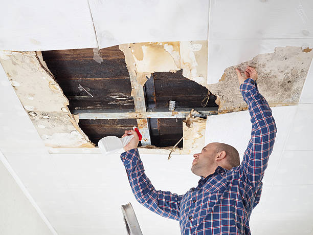 Best Asbestos and Lead Testing During Mold Inspection  in Midway City, CA